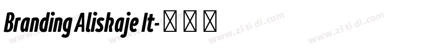 Branding Aliskaje It字体转换